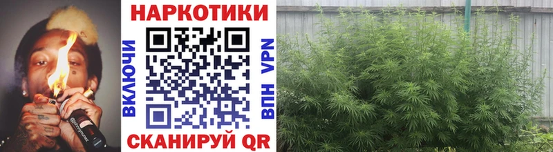 Где продают наркотики Ковдор КОКАИН ГАШ KRAKEN зеркало Марихуана Alpha PVP