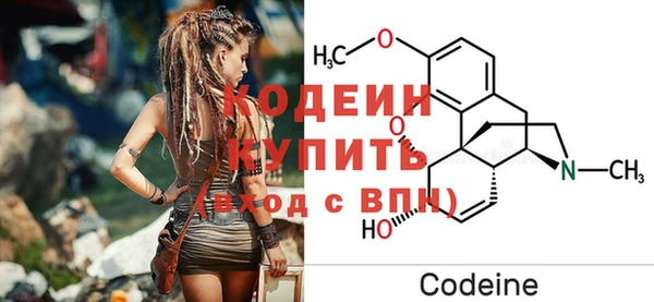 хмурый Богородицк