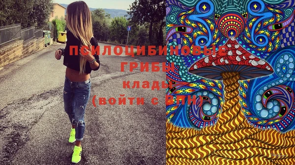 хмурый Богородицк