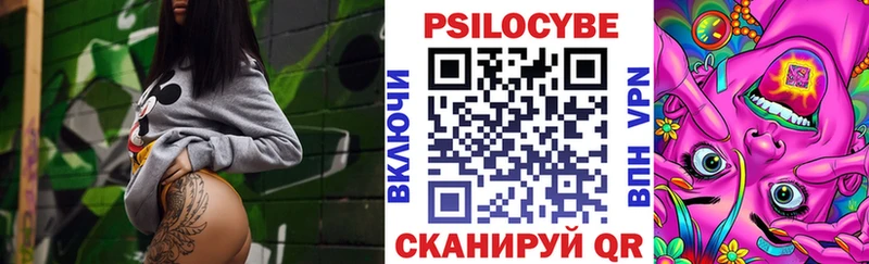 сколько стоит  Ковдор  Галлюциногенные грибы MAGIC MUSHROOMS 